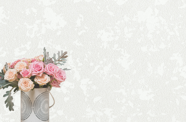 卡豐奇藝術(shù)涂料圣吉米尼米白色效果圖 卡豐奇藝術(shù)涂料圣吉米尼米白色效果圖